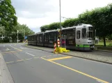 Hannover tram line 11 with articulated tram 2554 at Hannover Congress Centrum (2020)
