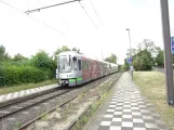 Hannover tram line 2 with articulated tram 2035 at Rethen Steinfeld (2020)