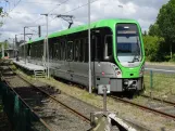 Hannover tram line 5 with articulated tram 3034 at Anderten (2024)