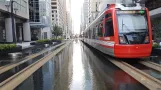 Houston tram line Red with low-floor articulated tram 305 on Main Street (2018)