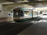 Magdeburg tram line 1 with low-floor articulated tram 1315 on Ernst-Rouler-Allee (2023)