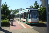 Magdeburg tram line 2 with low-floor articulated tram 1325 at Wasserwerk Westerhüsen (2015)