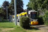 Mainz tram line 52 with low-floor articulated tram 211 at Am Schinnergraben (2010)