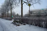 Memorial: Carlisle-Park, Bahnhofstraße, Flensburg (2010)