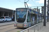 Messina tram line 28 with low-floor articulated tram 04T by Repubblica (Messina Centrale) (2022)