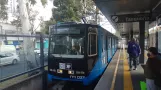 Mexico City tram line Tren Ligero (TL) with articulated tram 037 at Xotepingo (2021)