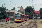 Most tram line 4 with low-floor articulated tram 202 at Litvínov, Citadela (2008)