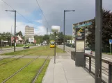 Mulhouse tram line Tram 1 at Châtaignier (2019)