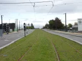 Odense near Bolbro (2021)