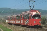 Postcard: Bad Dürkheim regional line 4 with articulated tram 1021 near Feuerberg (1989)
