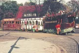 Postcard: Bremen at Bürgerpark (1955)