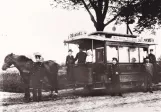 Postcard: Bremen horse tram 30 near Ludwig-Quidde-Str. (1878-1899)