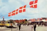 Postcard: Copenhagen animal show line Buh with sidecar 1569 at Dyrskuepladsen  Bellahøj (1958-1961)