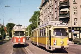 Postcard: Copenhagen tram line 1 with articulated tram 803 at Hellerup  Callisensvej (1963-1965)