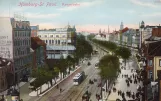 Postcard: Hamburg on Reeperbahn (1909)