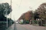 Postcard: Malmö tram line 1 with railcar 42 on Lönngatan (1966)