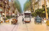 Postcard: Nice on Avenue de la Victoire (1899)