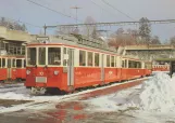 Postcard: Zürich railcar 10 at Forch (1987)