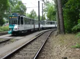 Potsdam tram line 91 with articulated tram 149 "Szeged" at Bhf Rehbrücke (2023)