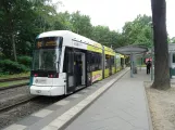 Potsdam tram line 91 with low-floor articulated tram 427 "Sansibar" at Bhf Rehbrücke (2023)