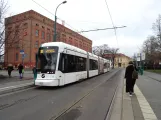 Potsdam tram line 91 with low-floor articulated tram 437 at Luisenplatz-Süd/Park Sanssouci (2018)