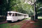 Prague tram line 12 with railcar 6773 at Výstaviště Holešovice (2001)
