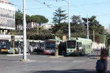 Rome tram line 19 with low-floor articulated tram 9012 at Verano (2009)