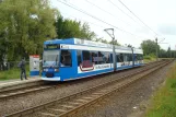 Rostock extra line 2 with low-floor articulated tram 659 at Kurt-Schumacher-Ring (2015)