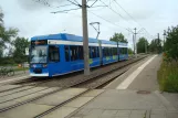 Rostock tram line 1 with low-floor articulated tram 675 at Hafenallee (2015)
