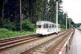 Rostock tram line 11 with articulated tram 720 near Zoo (1993)