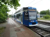 Rostock tram line 3 with low-floor articulated tram 667 at Dierkower Allee (2023)