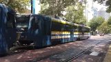Sacramento tram line Blue with articulated tram 218 at St. Rose of Lima Park (2021)