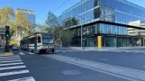 Sacramento tram line Yellow with articulated tram 234 near 7th & I/County Center (2024)