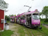 Schönberger Strand museum line with articulated tram 7553 at Nawimenta (2017)