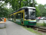 Schöneiche tram line 88 with low-floor articulated tram 51 at S-Bahnhof Friedrichshagen (2024)