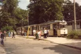 Schöneiche tram line 88 with railcar 81 at Friedrichshagen (1983)