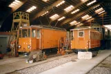 Skjoldenæsholm track cleaning tram 771 inside Remise 1 (2001)