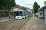 Würzburg tram line 5 with low-floor articulated tram 251 at Ruderzentrum (2014)