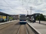 Zürich tram line 11 at Glattpark (2020)