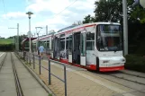 Zwickau tram line 3 with low-floor articulated tram 905 at Neuplanitz (2015)