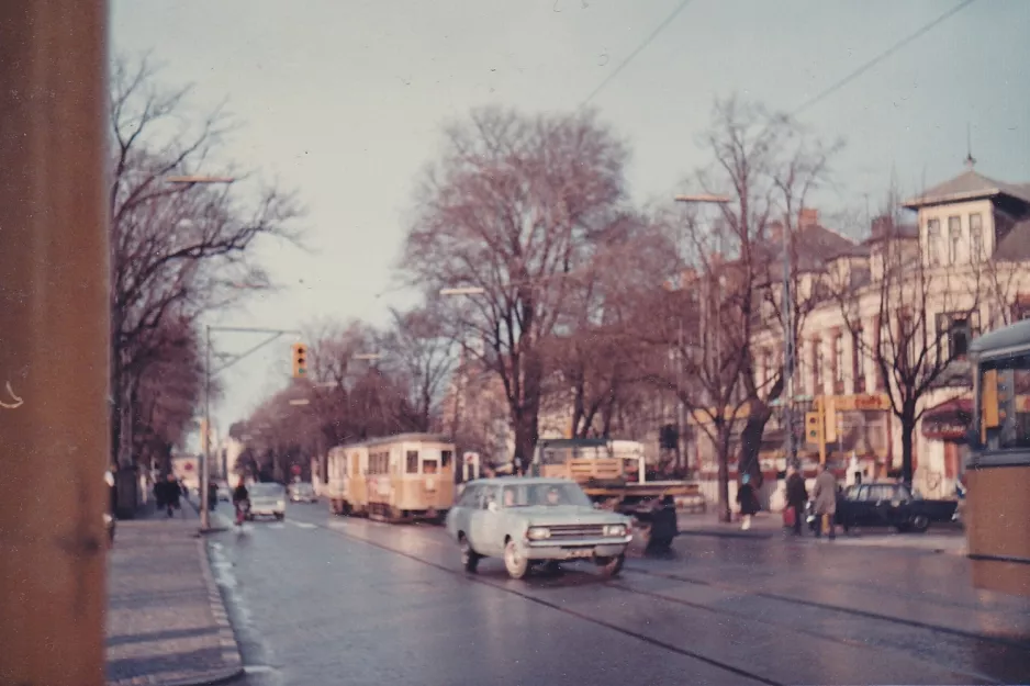 Archive photo: Copenhagen tram line 1 on Allegade (1967)