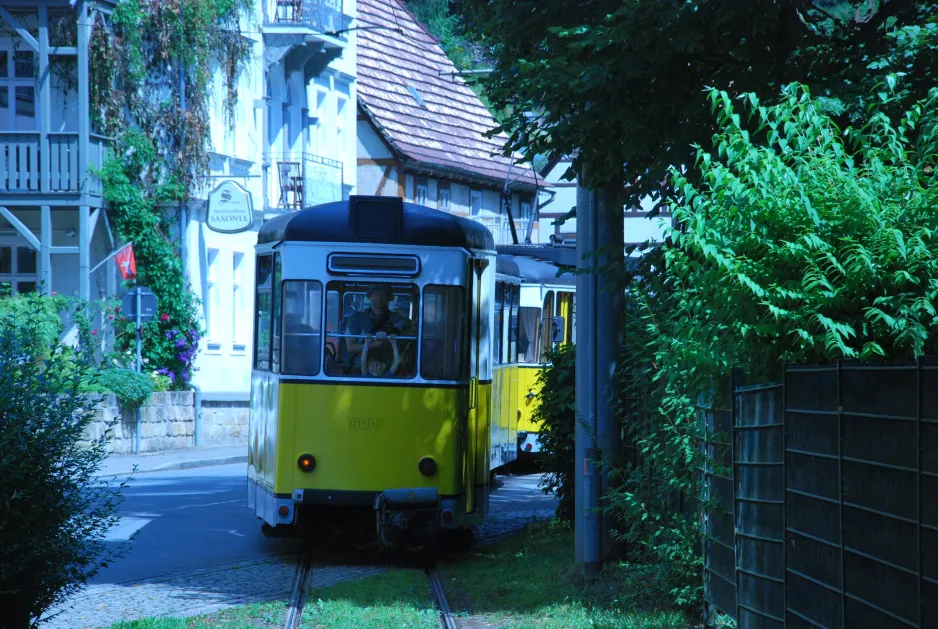 Bad Schandau Kirnitzschtal 241 with sidecar 21 close by Kurpark (2015)