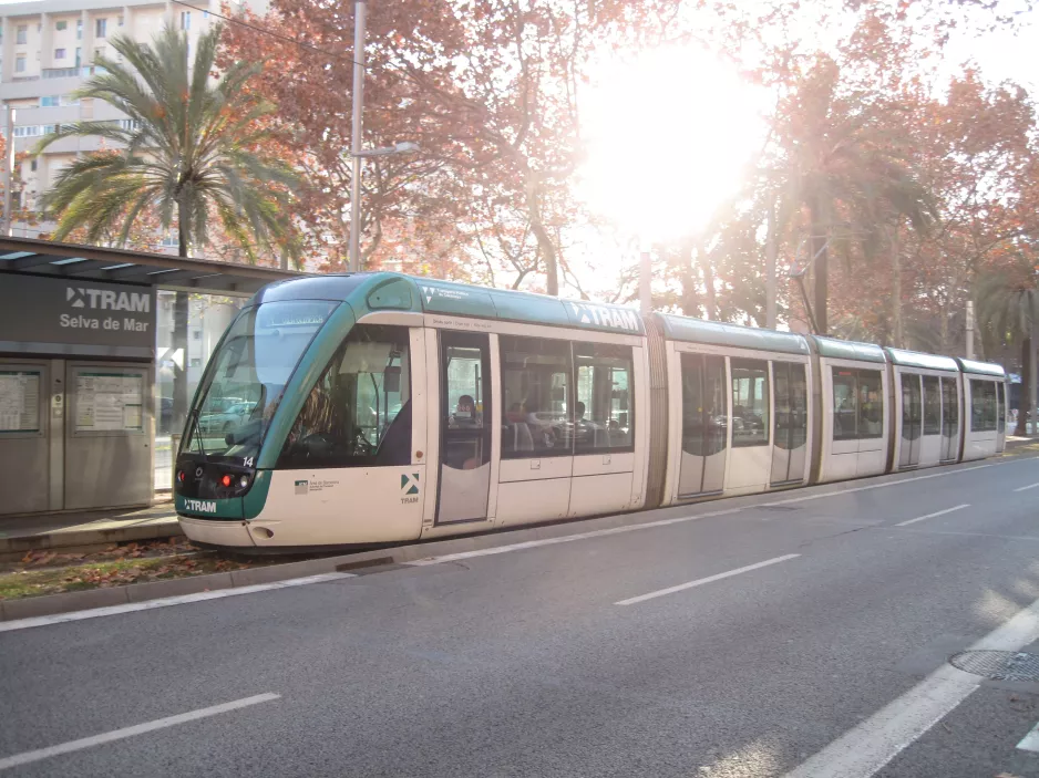 Barcelona tram line T4 with low-floor articulated tram 14 at Selva de Mar (2015)