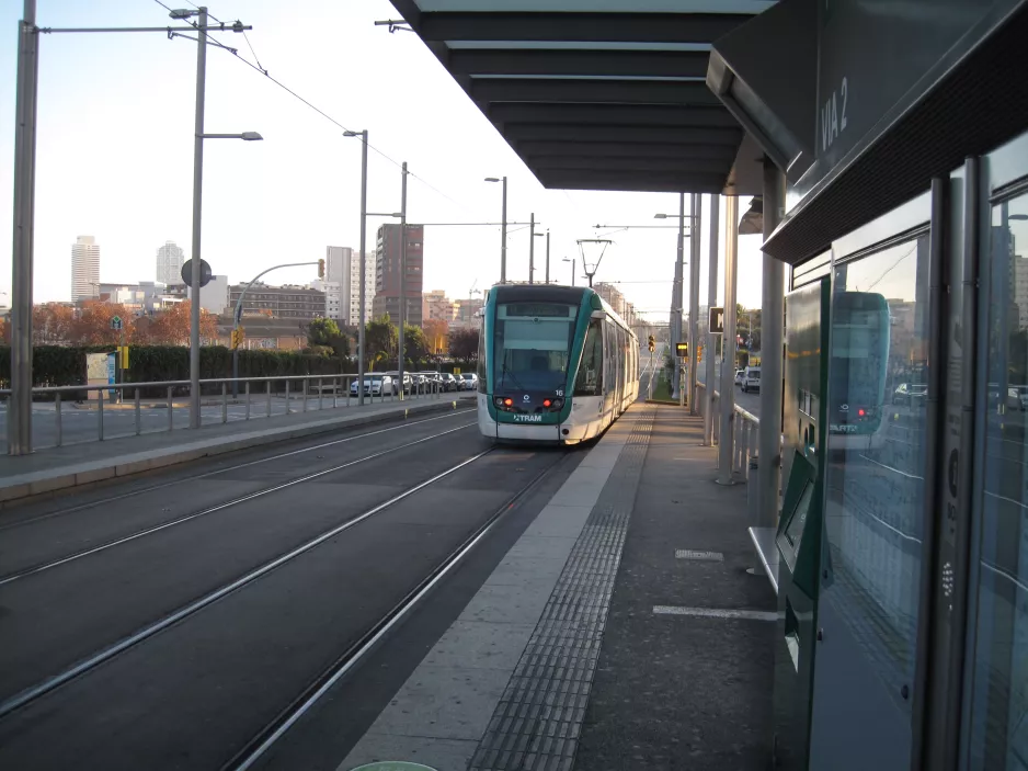Barcelona tram line T4 with low-floor articulated tram 16 at Ca l'Aranyó (2015)