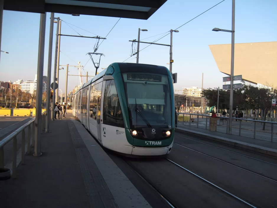 Barcelona tram line T6 with low-floor articulated tram 11 at La Farinera front view (2015)
