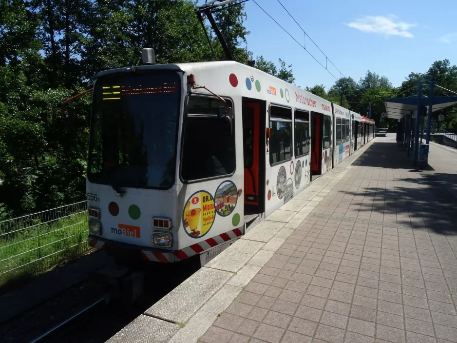 Bielefeld tram line 3 with articulated tram 556 at Stieghorst (2020)