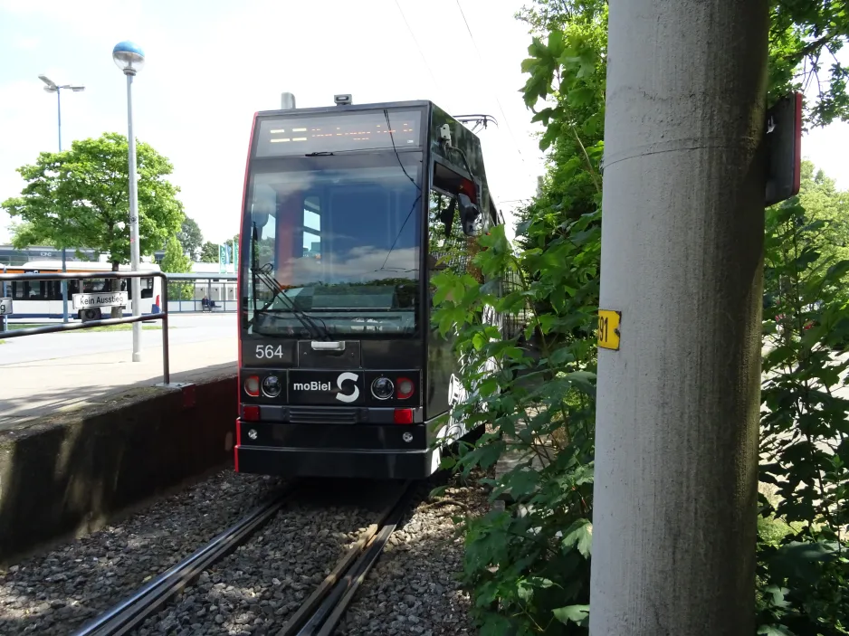 Bielefeld tram line 3 with articulated tram 564 at Babenhausen Süd (2024)