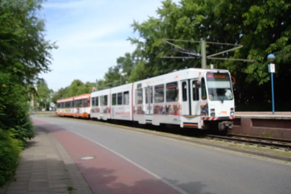 Bielefeld tram line 4 with articulated tram 555 at Graf-von-Stauffenberg-Straße (2016)