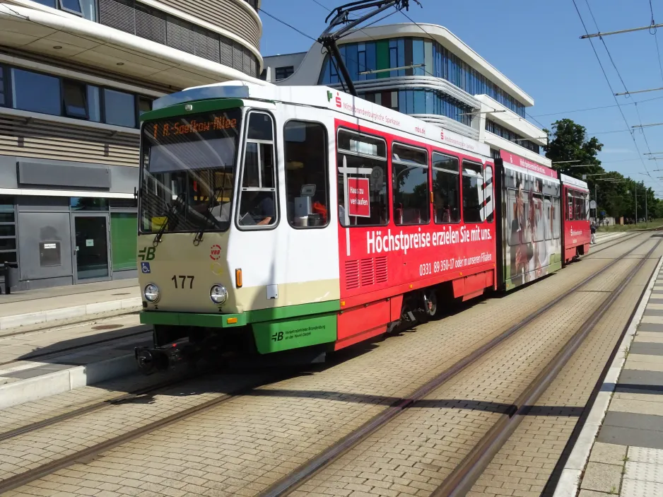 Brandenburg an der Havel tram line 1 with articulated tram 177 at Hauptbahnhof (2024)