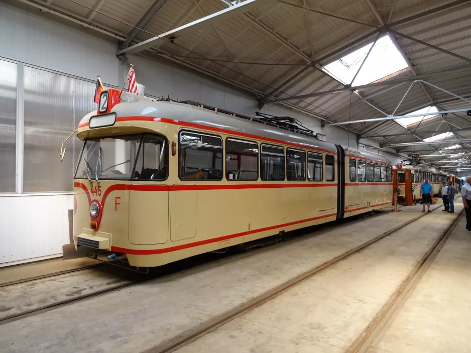 Bremen articulated tram 445 on Das Depot (2017)